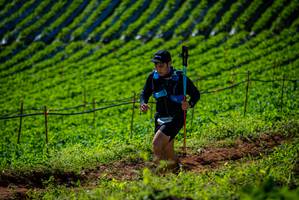 BIB: 
                            <button type="button" onclick="openModal(19161274)" class="btn btn-primary btn-sm float-right btn-popup" data-toggle="modal" data-target=".modal-high-quality">
                        <i class="fas fa-shopping-cart"></i> Add to Cart
                    </button>
                                            <button type="button" onclick="isThisMe(19161274, true)" class="btn btn-success btn-sm float-right btn-popup btn-isme hidden" data-toggle="tooltip" data-placement="bottom" title="นี่คือรูปของคุณใช่ไหม คลิกที่นี่เพื่อเอาเข้าอัลบั้ม">
                        <i class="fas fa-plus"></i> Add to album
                    </button>
                    <button type="button" onclick="isThisMe(19161274, false)" class="btn btn-warning btn-sm float-right btn-popup btn-isnotme hidden">
                        <i class="fas fa-ban"></i> Remove from album
                    </button>